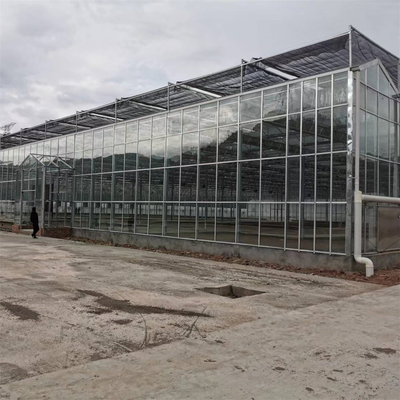 Le serre agricole Venlo della Multi-portata hanno temperato la serra di vetro con il sistema crescente idroponico