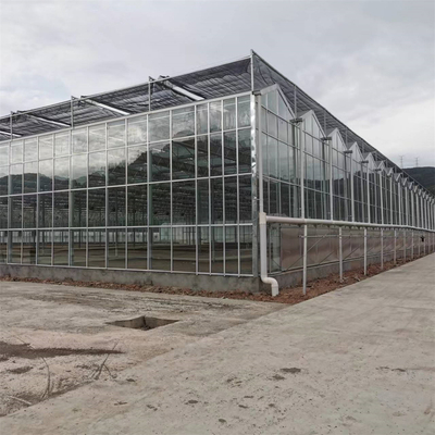 Serra agricola di vetro di orticoltura della Multi-portata della vetroresina completa della serra
