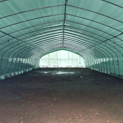 Il singolo nero Mesh Mushroom Cultivation In Greenhouses della serra della portata di doppio strato