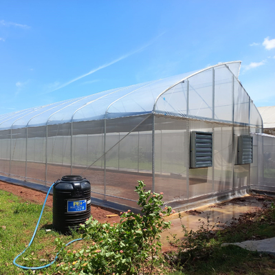 150 agricoltura sostenibile commerciale della serra da 200 micron moderna con la porta di 1*2m