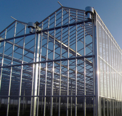 Vetro in policarbonato a cartone cavo vetro industriale per esterni vetro multispan vetro professionale serra olandese per la piantagione di fiori