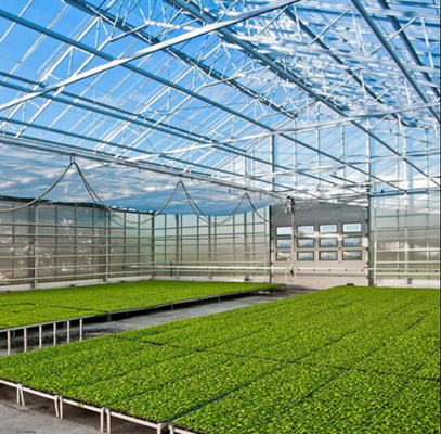 Vetro in policarbonato a cartone cavo vetro industriale per esterni vetro multispan vetro professionale serra olandese per la piantagione di fiori
