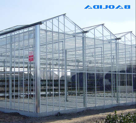 Alta forte struttura ISO9001 della grande serra di vetro di Venlo