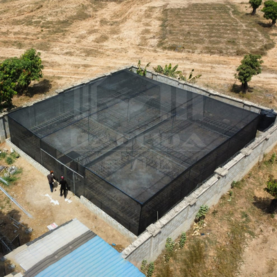 Taglia di magazzino economica Area tropicale Ventilazione Rete di plastica Rettaglia serra con rete ombra