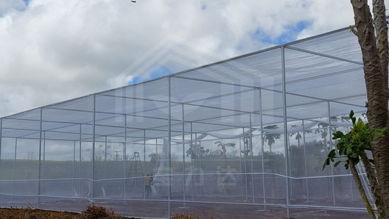 Taglia di magazzino economica Area tropicale Ventilazione Rete di plastica Rettaglia serra con rete ombra