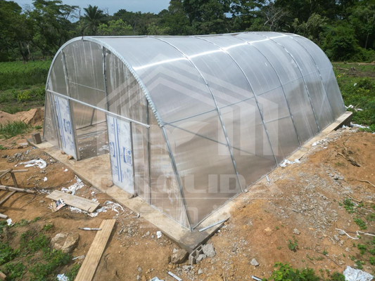 Serra di policarbonato facilmente assemblata per l'essiccazione efficiente delle piante con protezione da spirale e UV personalizzata
