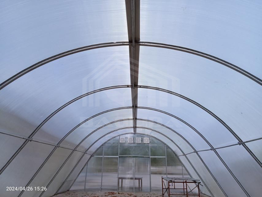 Serra di policarbonato facilmente assemblata per l'essiccazione efficiente delle piante con protezione da spirale e UV personalizzata