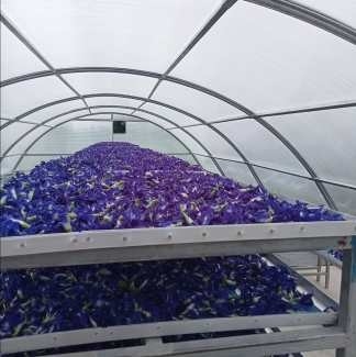 Serra per l'essiccazione solare di erbe da pesce protetta dai raggi UV con struttura stabile per l'essiccazione di piante e alimenti