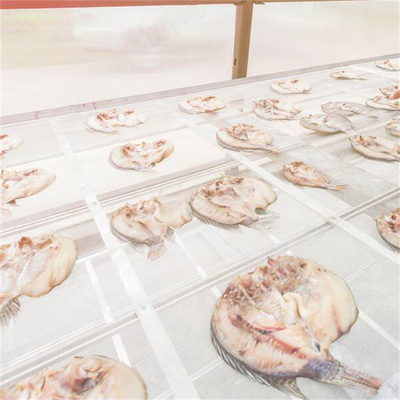 Serra per l'essiccazione del pesce in policarbonato personalizzabile con protezione UV e struttura stabile