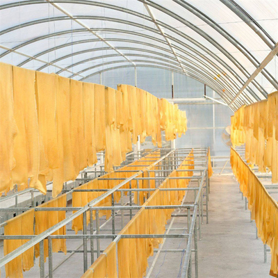 Serra per l'essiccazione del pesce in policarbonato personalizzabile con protezione UV e struttura stabile