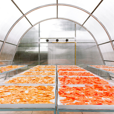 Serra per l'essiccazione del pesce in policarbonato personalizzabile con protezione UV e struttura stabile