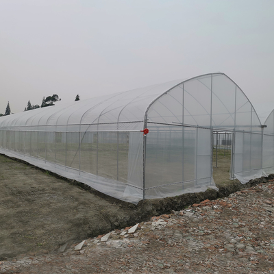 Serra UV resistente al vento Serra in rete Controller ambientale Serre multi-span