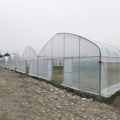 Serra UV resistente al vento Serra in rete Controller ambientale Serre multi-span