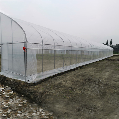 Serra UV resistente al vento Serra in rete Controller ambientale Serre multi-span