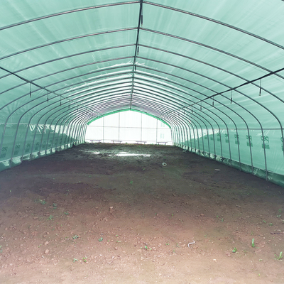 Serra a pellicola di plastica calda a strato singolo Malesia Serra a fiori di pomodoro per l'agricoltura