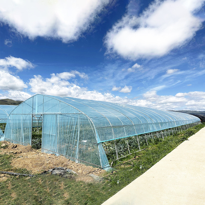 Vendita a caldo Poli Tunnel Strawberry Greenhouse Agricola Single-span Greenhouse per la coltivazione di fragole