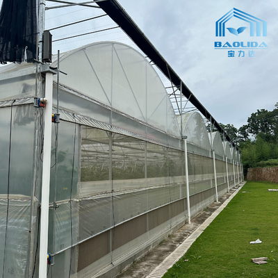 Tubo Intelligente Galvanizzato Tubo In Acciaio Pomodoro Pellicola di Plastica Arco Serra Agricola Serra Multi-Span In Vendita