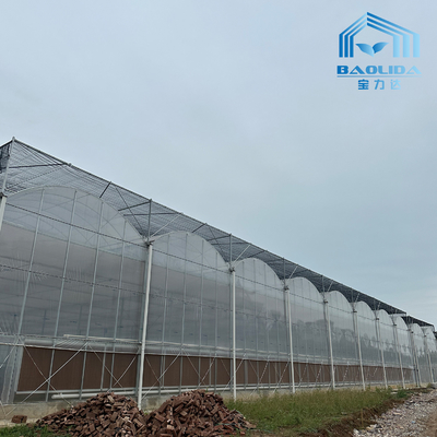 Tubo Intelligente Galvanizzato Tubo In Acciaio Pomodoro Pellicola di Plastica Arco Serra Agricola Serra Multi-Span In Vendita