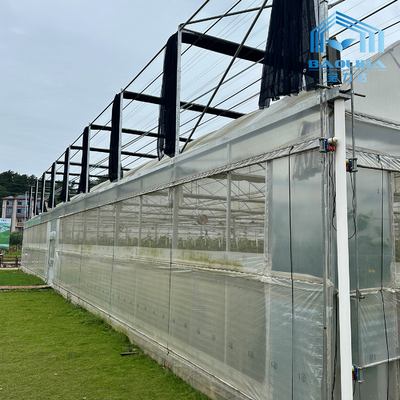 Tubo Intelligente Galvanizzato Tubo In Acciaio Pomodoro Pellicola di Plastica Arco Serra Agricola Serra Multi-Span In Vendita