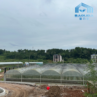 Tubo Intelligente Galvanizzato Tubo In Acciaio Pomodoro Pellicola di Plastica Arco Serra Agricola Serra Multi-Span In Vendita