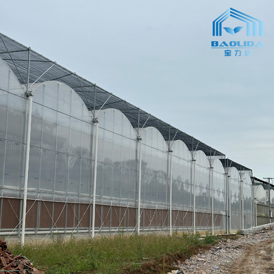 Tubo Intelligente Galvanizzato Tubo In Acciaio Pomodoro Pellicola di Plastica Arco Serra Agricola Serra Multi-Span In Vendita