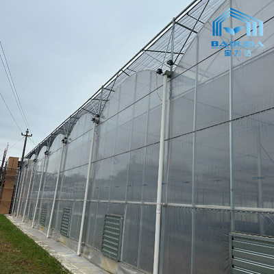 Tubo Intelligente Galvanizzato Tubo In Acciaio Pomodoro Pellicola di Plastica Arco Serra Agricola Serra Multi-Span In Vendita