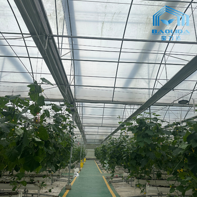 Tubo Intelligente Galvanizzato Tubo In Acciaio Pomodoro Pellicola di Plastica Arco Serra Agricola Serra Multi-Span In Vendita