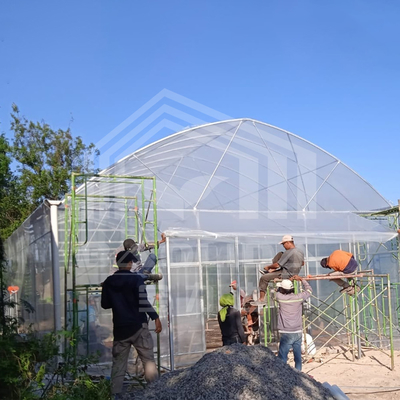 Ventilazione laterale a arco rotondo Galleria di plastica Serra commerciale Serra a fragole a una sola fascia