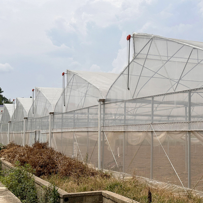 Sistema di controllo della ventilazione per il raffreddamento delle zone tropicali