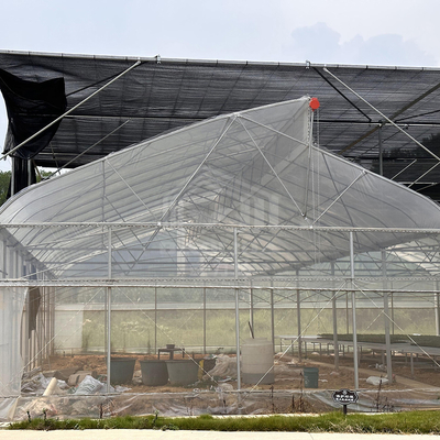 Sistema di controllo della ventilazione per il raffreddamento delle zone tropicali