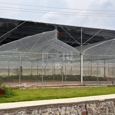 Sistema di controllo della ventilazione per il raffreddamento delle zone tropicali