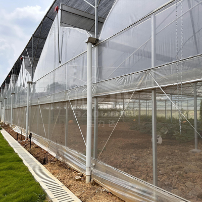 Sistema di controllo della ventilazione per il raffreddamento delle zone tropicali