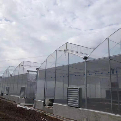 Tubo di acciaio galvanizzato a caldo serra serra di plastica a denti di sega multi-span serra tropicale
