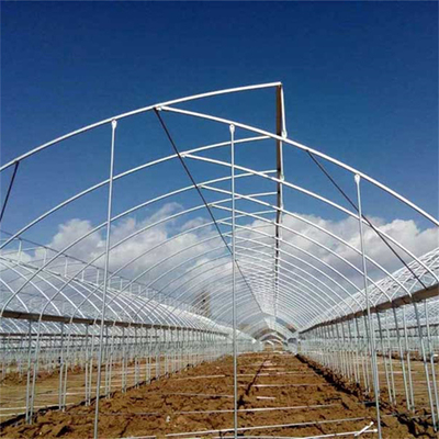 Tubo di acciaio galvanizzato a caldo serra serra di plastica a denti di sega multi-span serra tropicale