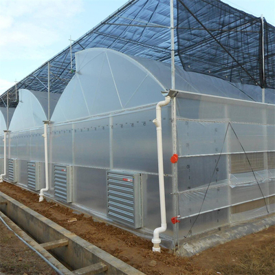 Tubo di acciaio galvanizzato a caldo serra serra di plastica a denti di sega multi-span serra tropicale