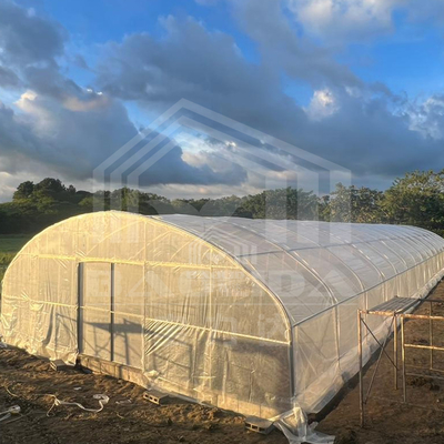 Agricoltura Piante di coltivazione serra in galleria vendita online 20m galleria serra a singolo tracciato