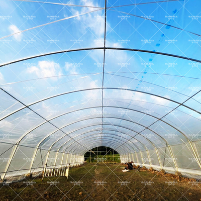 Agricoltura Piante di coltivazione serra in galleria vendita online 20m galleria serra a singolo tracciato