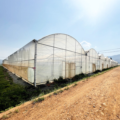 Agricoltura Grande serra Cornice metallica Multispan Verdure di coltivazione Tunnel Multi Span Film serra