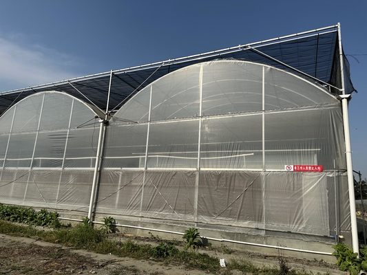 Agricoltura Grande serra Cornice metallica Multispan Verdure di coltivazione Tunnel Multi Span Film serra