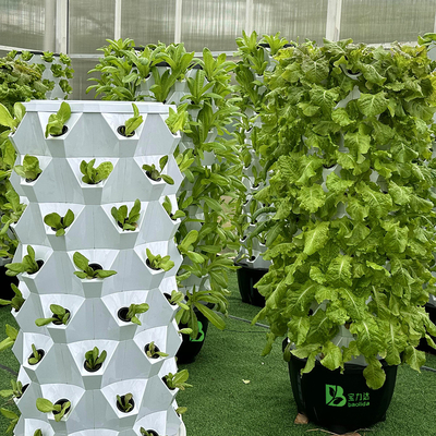 Growart Tower Sistema di coltivazione idroponica Linea d'acqua visibile automatica ABS di risparmio di spazio