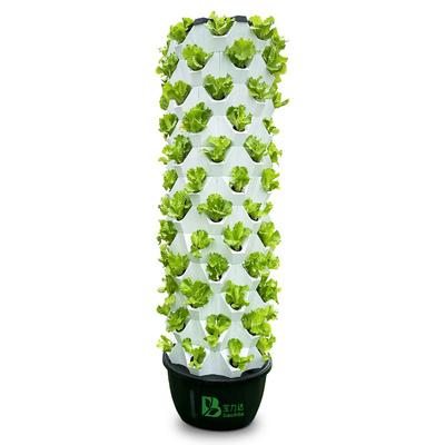 65L 12 strato 96 fori di pianta Sistema di coltivazione idroponica automatica con torre Growart rimovibile