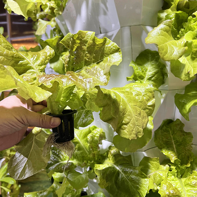 Sistema di irrigazione idroponica con sistema di irrigazione idroponica