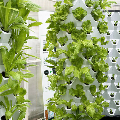 Sistema di irrigazione idroponica con sistema di irrigazione idroponica