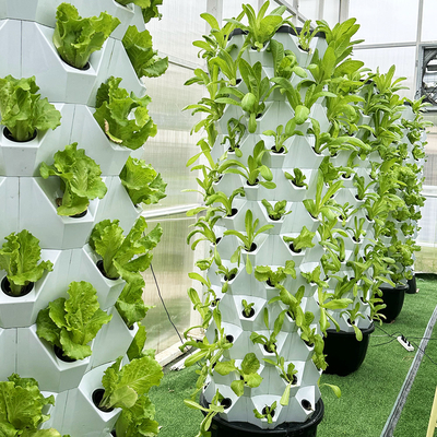 Personalizza il tuo numero di strato Agricoltura verticale con sistema idroponico a goccia