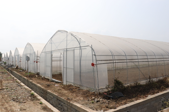 Portata di Polytunnel Sri Lanka Colombo Steel Frame Greenhouse Single