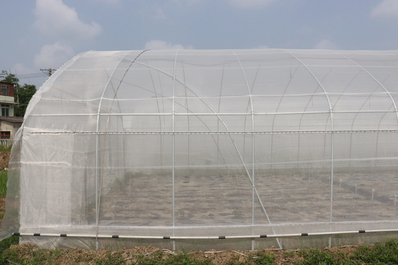 Portata di Polytunnel Sri Lanka Colombo Steel Frame Greenhouse Single