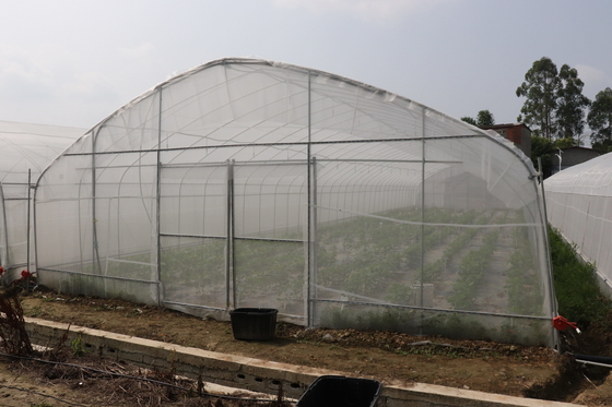 Portata di Polytunnel Sri Lanka Colombo Steel Frame Greenhouse Single