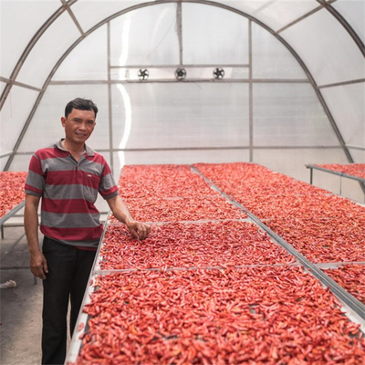 Serra di asciugatura in ambiente controllato con scheda PC per l'asciugatura di erbe e frutta