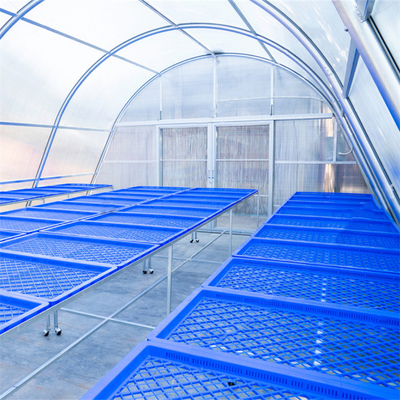 Struttura stabile Serra per l'essiccazione di ortaggi e erbe con tecnologia avanzata di ventilazione
