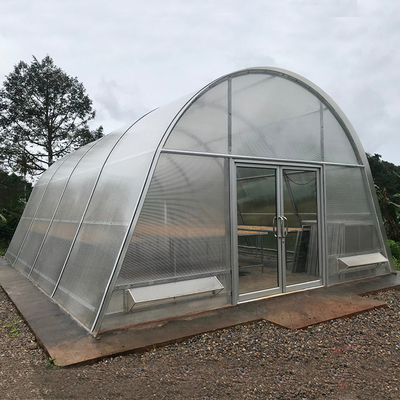 Asciugatura delle verdure in serre con cartone PC protetto da UV e stabile con ventilazione ottimale